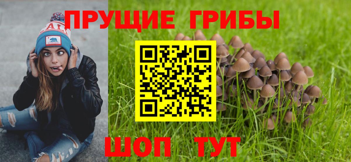 Галлюциногенные грибы MAGIC MUSHROOMS Чайковский